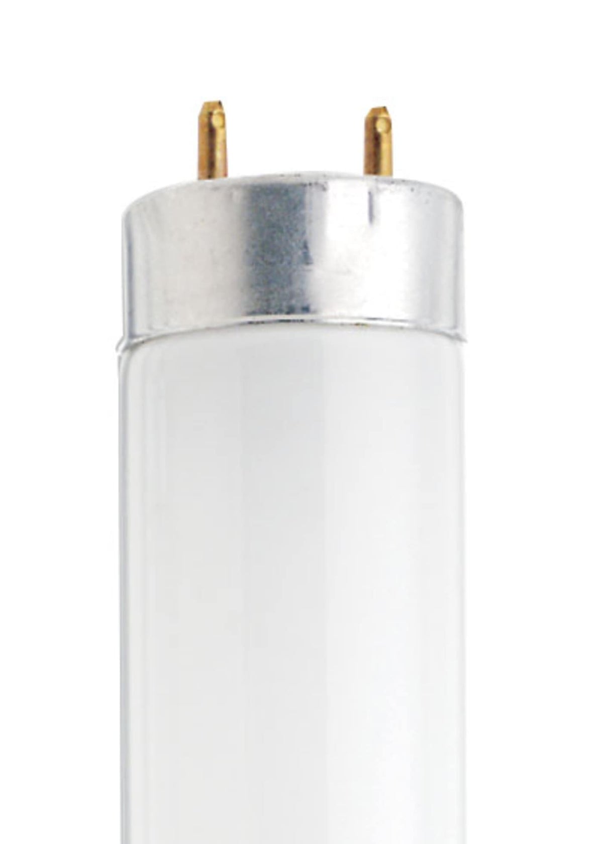 18 Watt T8 Cool White Fluorescent Lamp