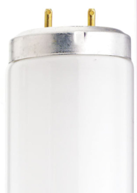 25 Watt T12 Cool White Fluorescent Lamp